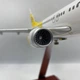 Модель літака Boeing 737-800 Bees Airlines Reg: UR-UBA - зображення 2