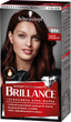 Интенсивная крем-краска для волос Brillance 869 Черно-бордовый 142.5 мл (9000101620184) - изображение 1