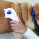 Расческа от блох для кошек и собак Электрическая Flea Doctor (5477) - изображение 3