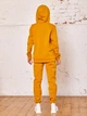 Спортивный костюм на флисе женский ISSA PLUS 12296 S Горчичный (issa2007682112517) - изображение 2