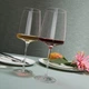 Набор бокалов для вина Schott Zwiesel Vivid Senses Flavoursome & Spice 660мл 122429 - изображение 2