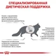 Сухой корм для кошек Royal Canin HEPATIC при заболеваниях печени у кошек 2кг - изображение 3