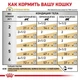 Влажный корм для кошек Royal Canin Urinary F SO консервы для котов 85г - изображение 4