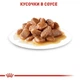 Влажный корм для кошек Royal Canin WET URINARY CARE консервы для котов 85г - изображение 4