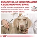 Влажный корм для собак Royal Canin GASTRO INTESTINAL при заболеваниях ЖКТ 400г - изображение 11