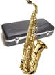 Саксофон J. MICHAEL AL-500 Alto Saxophone - зображення 2