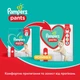 Підгузник Pampers трусики Pants Giant Розмір 7 (17+ кг) 74 шт. (8006540069622) - зображення 12