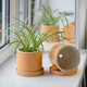 Керамический вазон для растений Mini Plant 9х11,5см Цилиндр Желтый - изображение 2