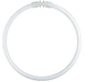 Лампа люминесцентная 22W 75V 1700lm 6500K 2GX13 DIM ⌀240 кольцевая [4050300528441] LUMILUX T5 FC OSRAM - изображение 2