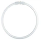 Лампа люминесцентная 55W 101V 4250lm 4000K 2GX13 DIM ⌀315 кольцевая [4050300528588] LUMILUX T5 FC OSRAM - изображение 2