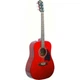 Вестерн гітара Washburn OG2TR 93091 - зображення 1