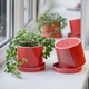 Керамічний вазон для рослин Mini Plant 9x11,5см Циліндр Кораловий - зображення 2