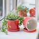 Керамічний вазон для рослин Mini Plant 9x11,5см Циліндр Кораловий - зображення 4