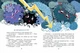 Малим дітям про все на світі. Енциклопедія в казках Школа - изображение 2