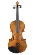 Скрипкa GLIGA AWV044 (Violin 4/4 Gems I) 55200 - изображение 1
