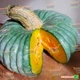 Семена круглой тыквы Hortus Марина ди кьожжа 10 семян - изображение 1