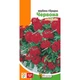 Вербена гібридна Червона Червоний Насіння Florium (726773) - зображення 4