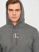 Худи мужское Calvin Klein Jeans 10801.2 M (46) Темно-серое - изображение 4