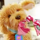 Інтерактивна іграшка MY FUZZY FRIENDS – ЛАБРАДУДЕЛЬ MOJI (українська та англійська) - изображение 5