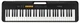 Синтезатор Casio CT-S100C - изображение 1