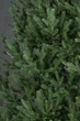 Штучна ялинка Arts Pine Віденська-2 230 см Поліпропілен з металевою підставкою Зелений (SG-118) TRG-165414 - зображення 3