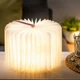 Світильник-книга на акумуляторі MINI URBAN Gingko (Англія), рожевий - изображение 4
