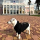 Худи для собак DogClub Frenchdog S Black - изображение 8