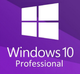 Операційна система Windows 10 PRO 64B UKRAINIAN OEM 1PK FQC-08978 DVD - зображення 1