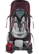 Рюкзак Deuter Aircontact 60 + 10 SL цвет 5518 aubergine-cranberry (3320416 5518) - изображение 2