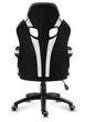 Кресло геймерское компьютерное Подростковое HUZARO FORCE 2.5 White\black Mesh Обивка ткань - изображение 8
