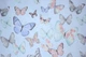 Комплект постільної білизни MirSon Бязь Ranforce Elite 17-0098 Pamela 2х160х220 см (2200004734507) - зображення 2