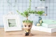 Цветочный горшок кашпо Primo Грут Groot для цветов и канцелярии (GR-06) Primo GR-06 серый - изображение 3