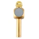 Микрофон беспроводной с Bluetooth портативный WSTER WS-1816 Gold Micro USB TF USB AUX - изображение 4