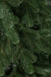 Ялинка лита "Ковалівська" Зелена 1,50 м (SG4829221200152) ТМ SigaGroup - зображення 7
