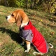 Жилетка для собак NoblePet Supper Doggy M RED - изображение 2