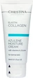 Увлажняющий крем для нормальной кожи Christina Elastin Collagen Azulene Moisture Cream with Vitamins A E & HA 60 мл (7290100363706) - изображение 1