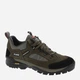 Buty trekkingowe męskie Olang Pieve.Tex Safari 810 41 26.8 cm Brązowe (8026556069478) - obraz 1