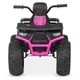 Квадроцикл Bambi M 4624EBLR-2-8(24V) Black Pink (M 4624EBLR) - изображение 2