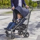 Прогулочная коляска Chicco Lite Way 3 Top Intrigue (79599.03) - изображение 8