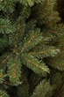 Сосна 3,65 м Forest frosted зелена з інієм - зображення 6