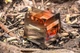 Kuchenka survivalowa NEO Tools stal nierdzewna 63-126 (5907558454086) - obraz 4