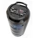 Автономная акустическая система 150ELYSIUM USB/MP3/FM/BT/TWS + 2pcs VHF mic - изображение 2