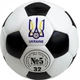 Футбольний м'яч Sphere Ukraine (шкіряний м'яч), - зображення 3