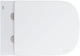 Инсталляция GROHE Solido 39536000 (Rapid SL 38528001) c панелью смыва Arena Cosmopolitan 38844000 + унитаз Euro Ceramic 39328000 Rimless с сиденьем SoftClose 39330000 дюропласт - изображение 3