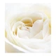 Парфюмированная вода Yodeyma Nicolas White 15 ml - изображение 2