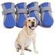 Взуття для собак DogClub Autumn L (4,2*4,8 см) Blue - зображення 2