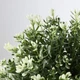 Штучна рослина в горщику, чебрець FEJKA IKEA 903.751.55 - зображення 3
