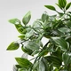 Штучна рослина в горщику для приміщення/вулиці/підвісний FEJKA IKEA 403.495.31 - зображення 5