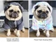 Куртка-ветровка светоотражающая для собак средних пород DogClub RTX 3XL Gray - изображение 4