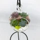 Флорариум подвесной Garden mix Шарик - изображение 2